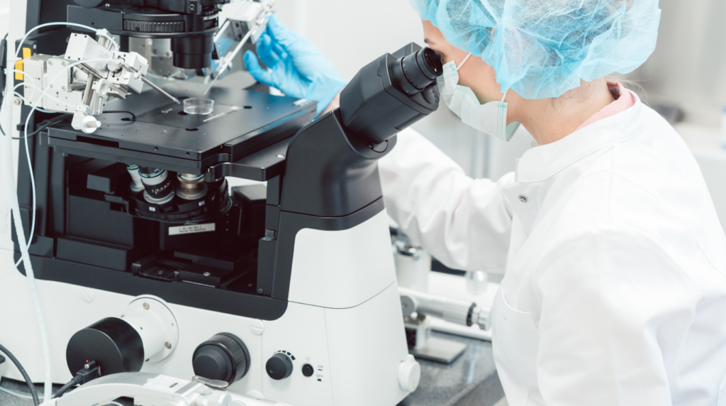 embryologie en action