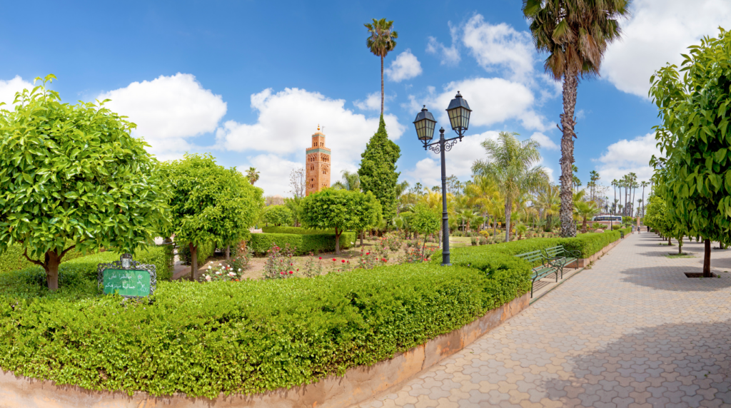 Jardin verdoyant avec ciel bleu.